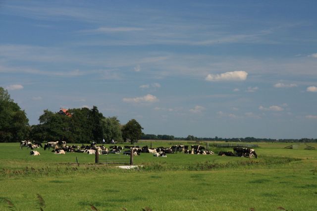 2009-08-Holandsko > obr (78)